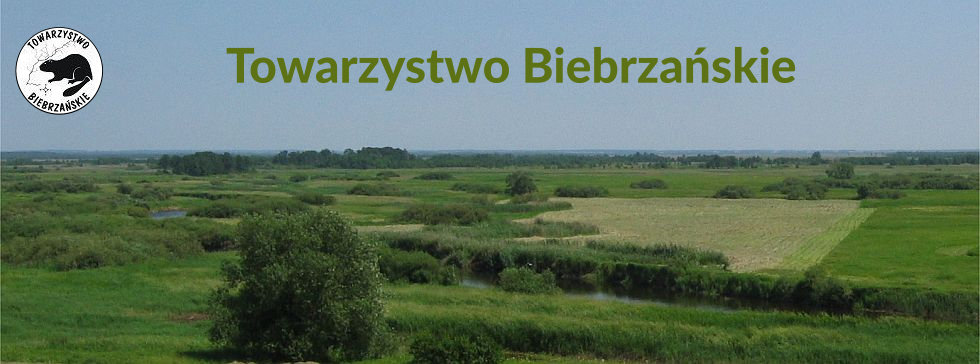 Logo Towarzystwa Biebrzańskiego, w tle krajobraz doliny Biebrzy widziany z Burzyna